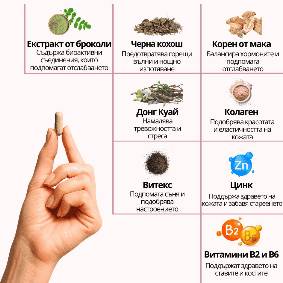 Ecolady Menopause